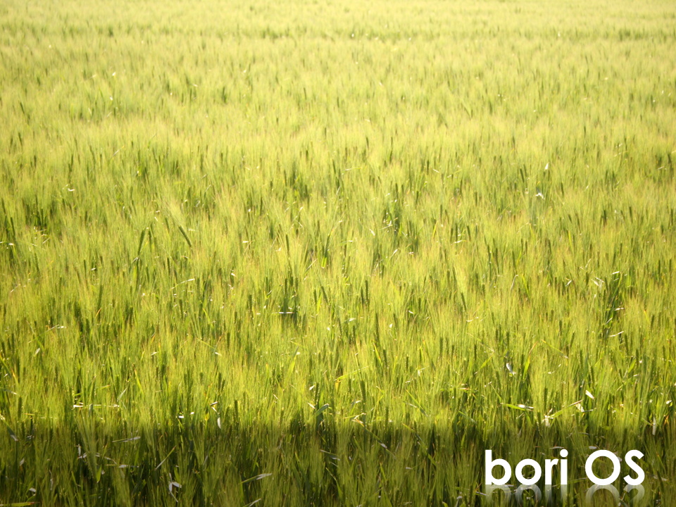 I001_bori_OS_Image.png